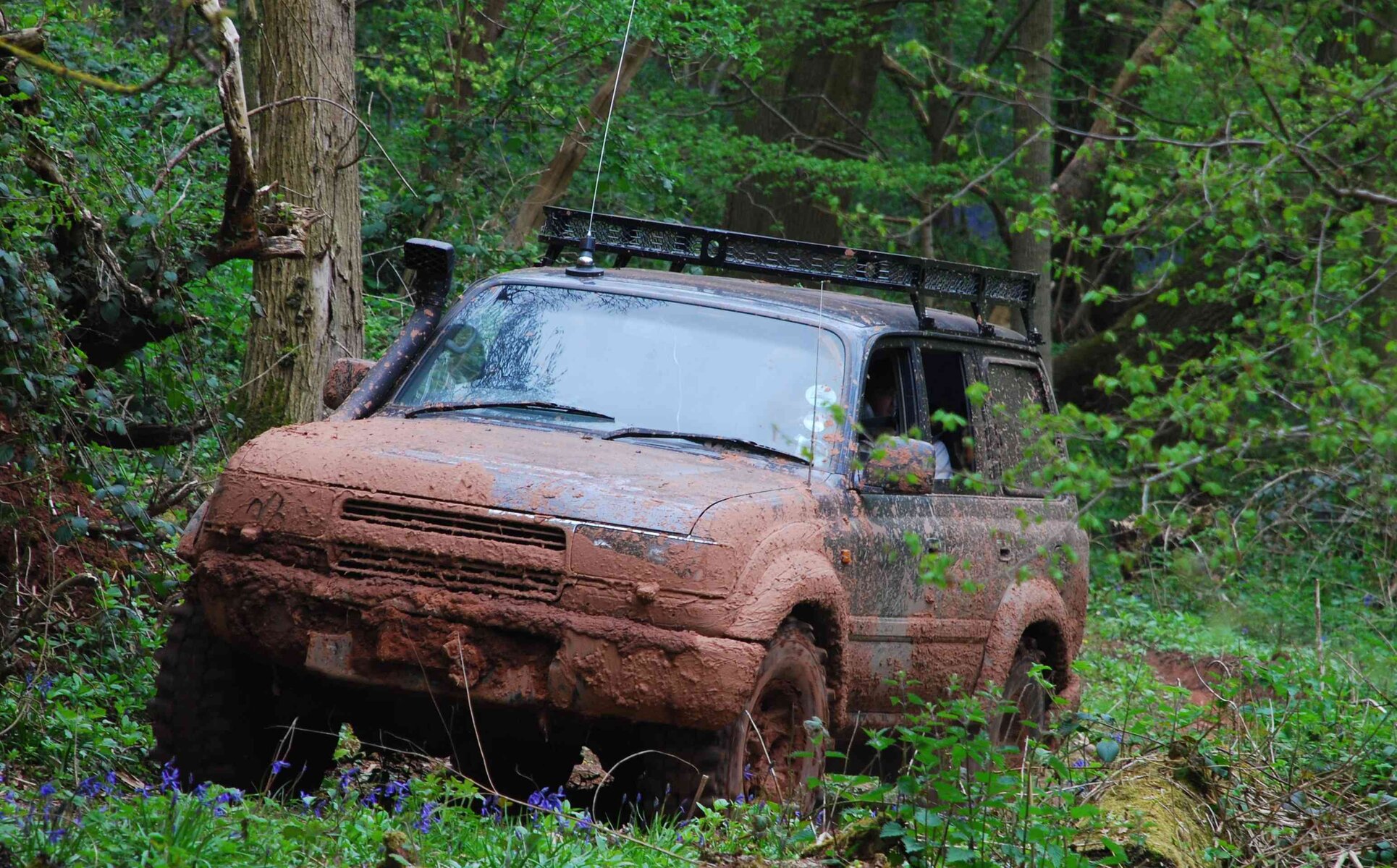 DSC_4462.JPG