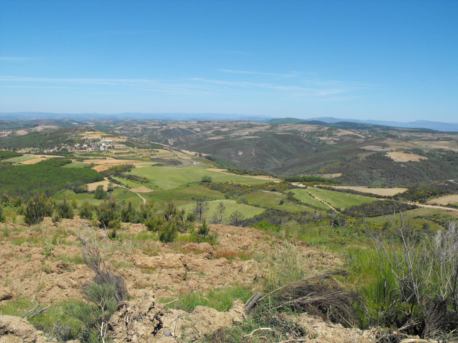 DSCF4625.jpg
