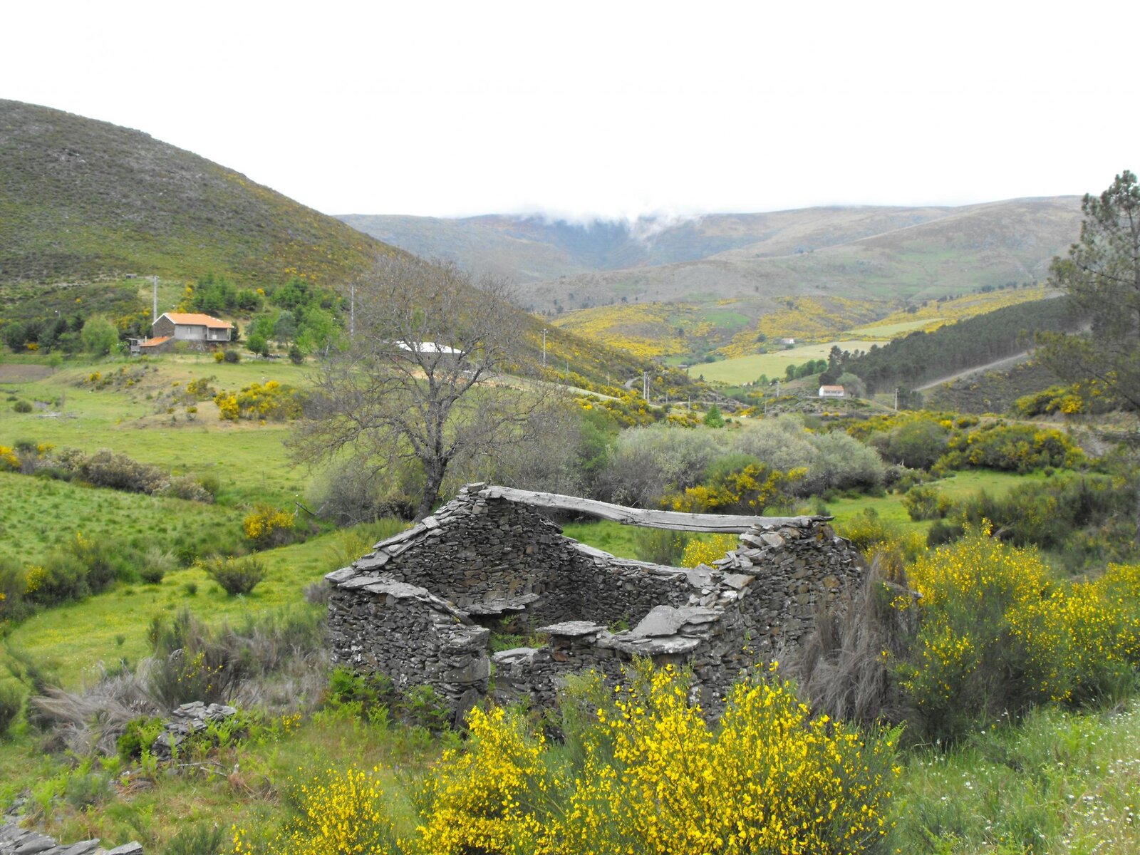 DSCF4710.jpg