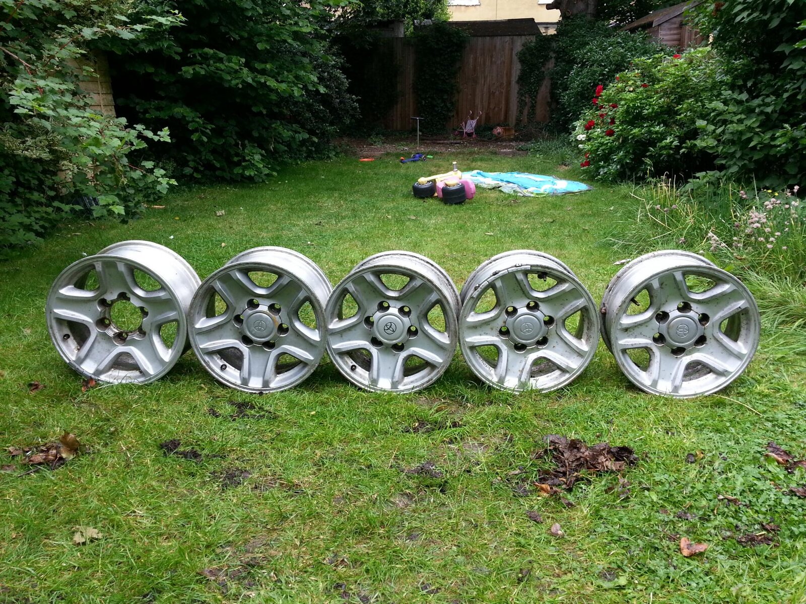 20130621_115726.jpg