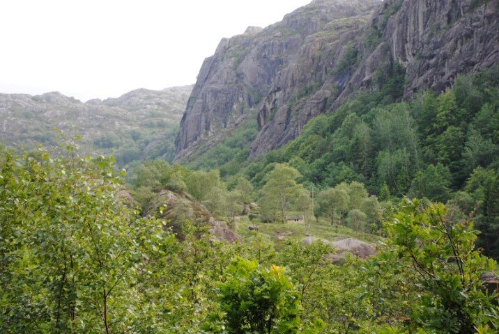 5b.JPG