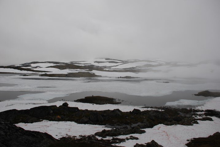 84.JPG