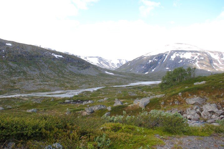 91.JPG