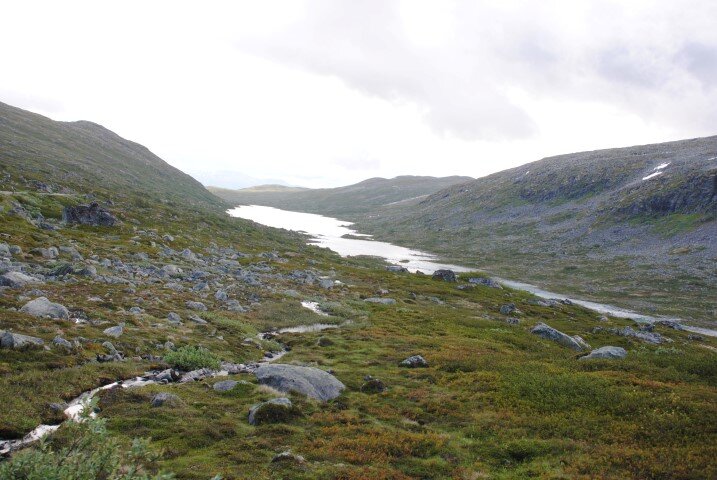 92.JPG