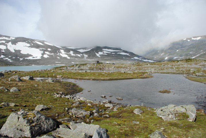 94.JPG