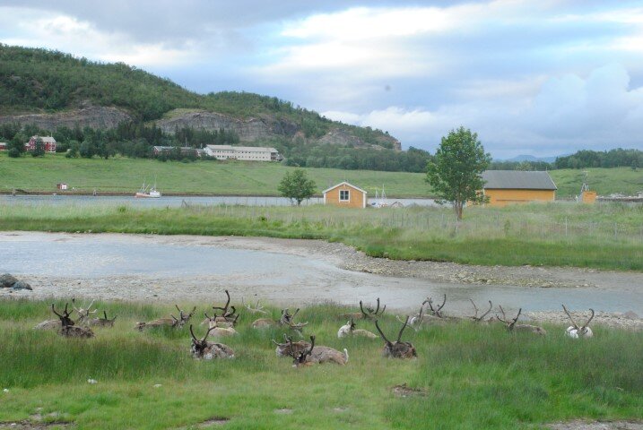 221.JPG