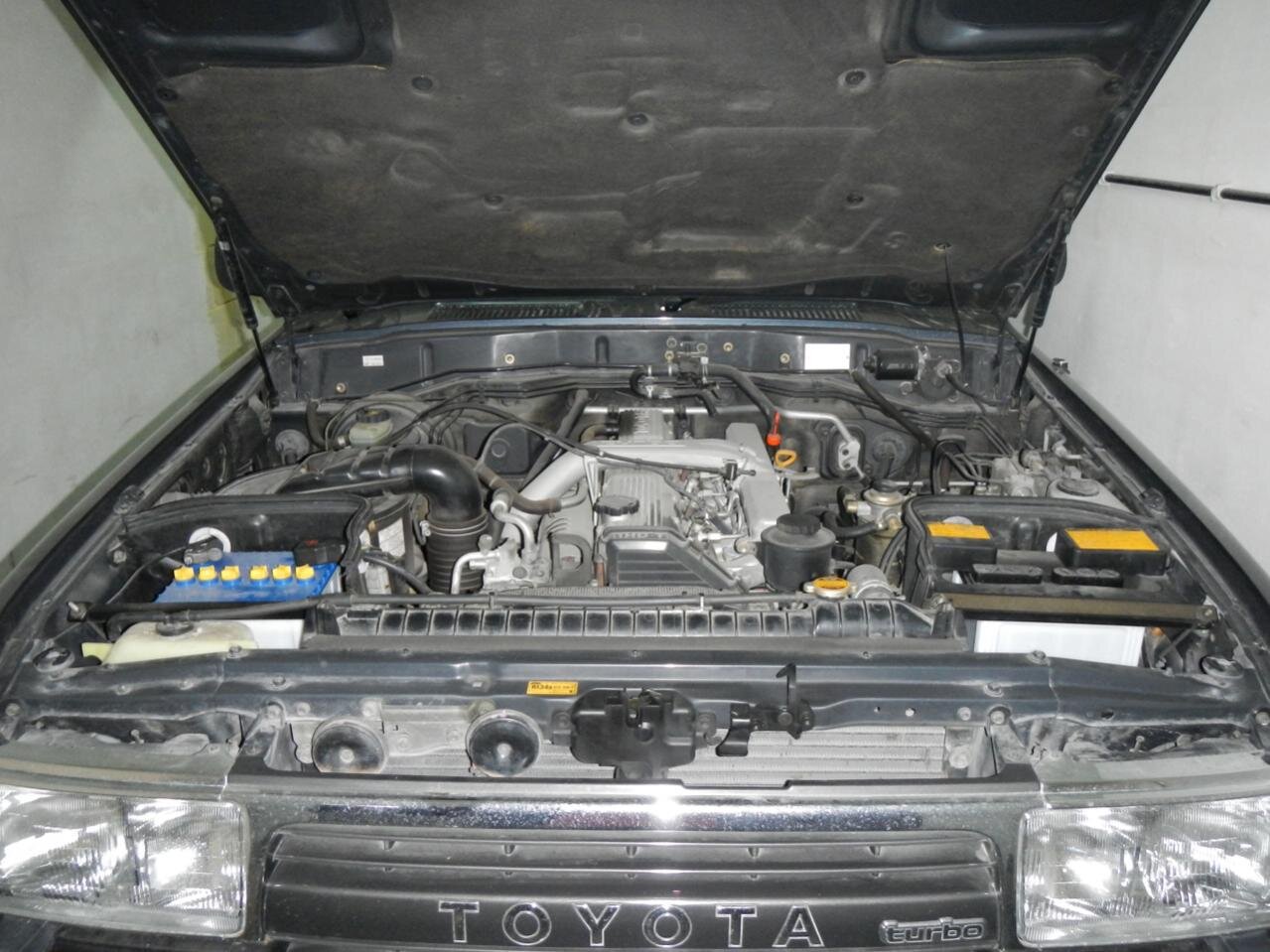 DSCN1786.jpg