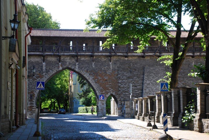 274.JPG