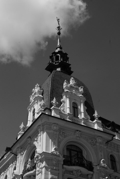 284.JPG