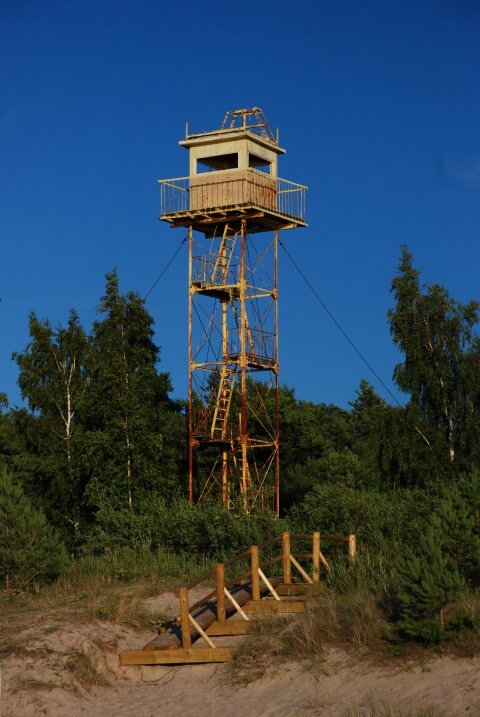 289.JPG
