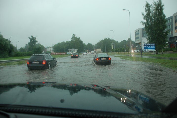 292.JPG