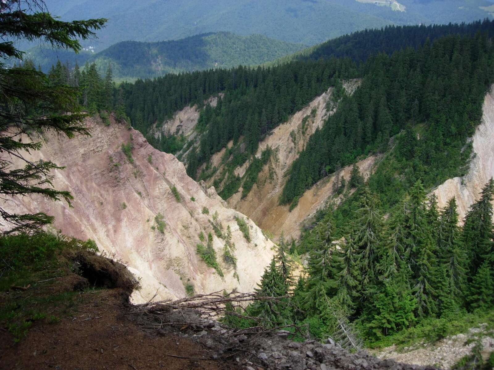DSCN1531.jpg