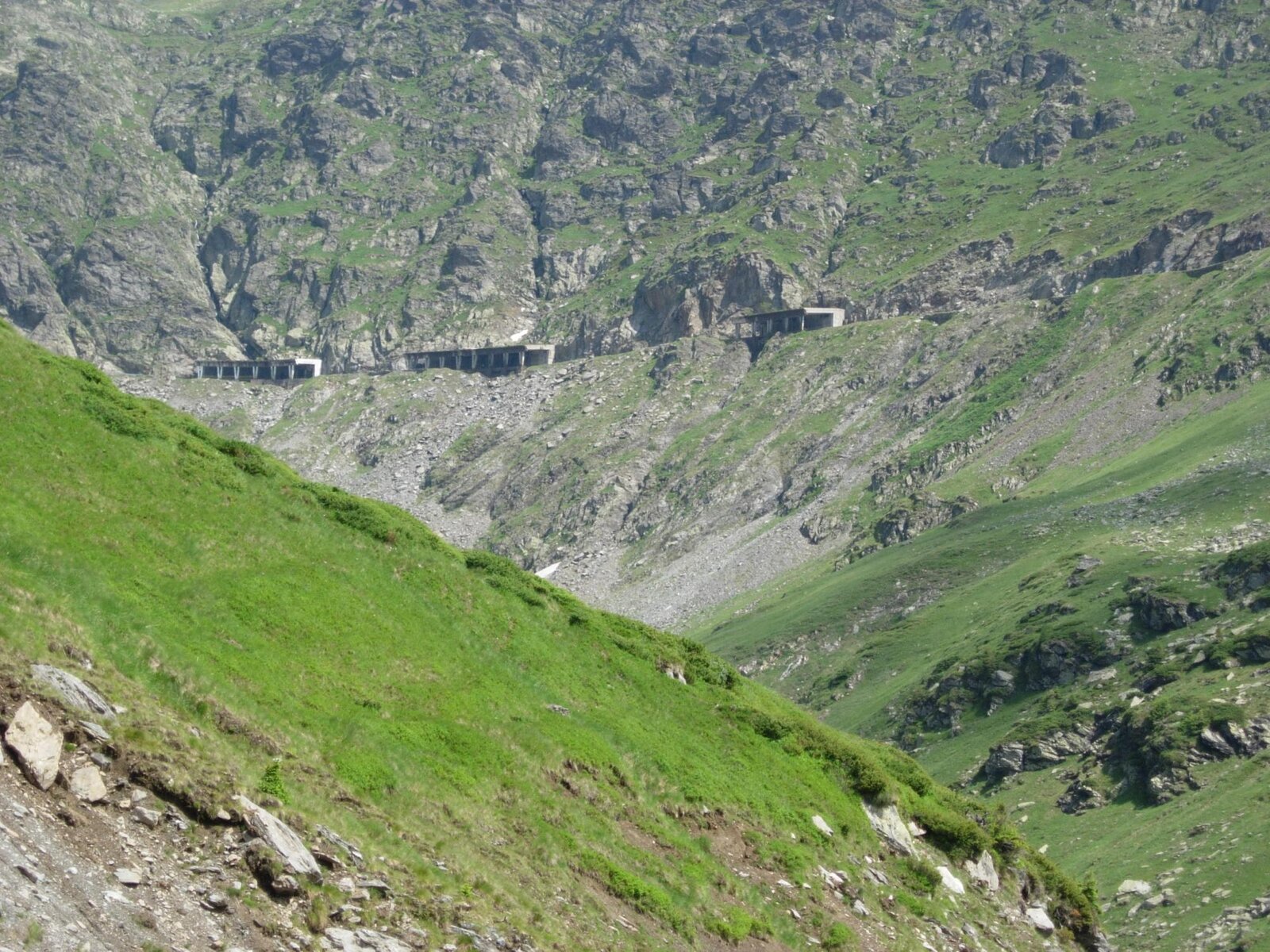 DSCN1120.jpg