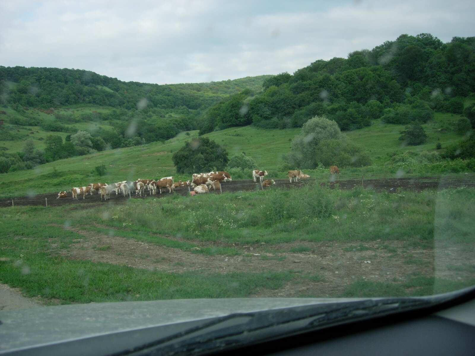 DSCN1237.jpg