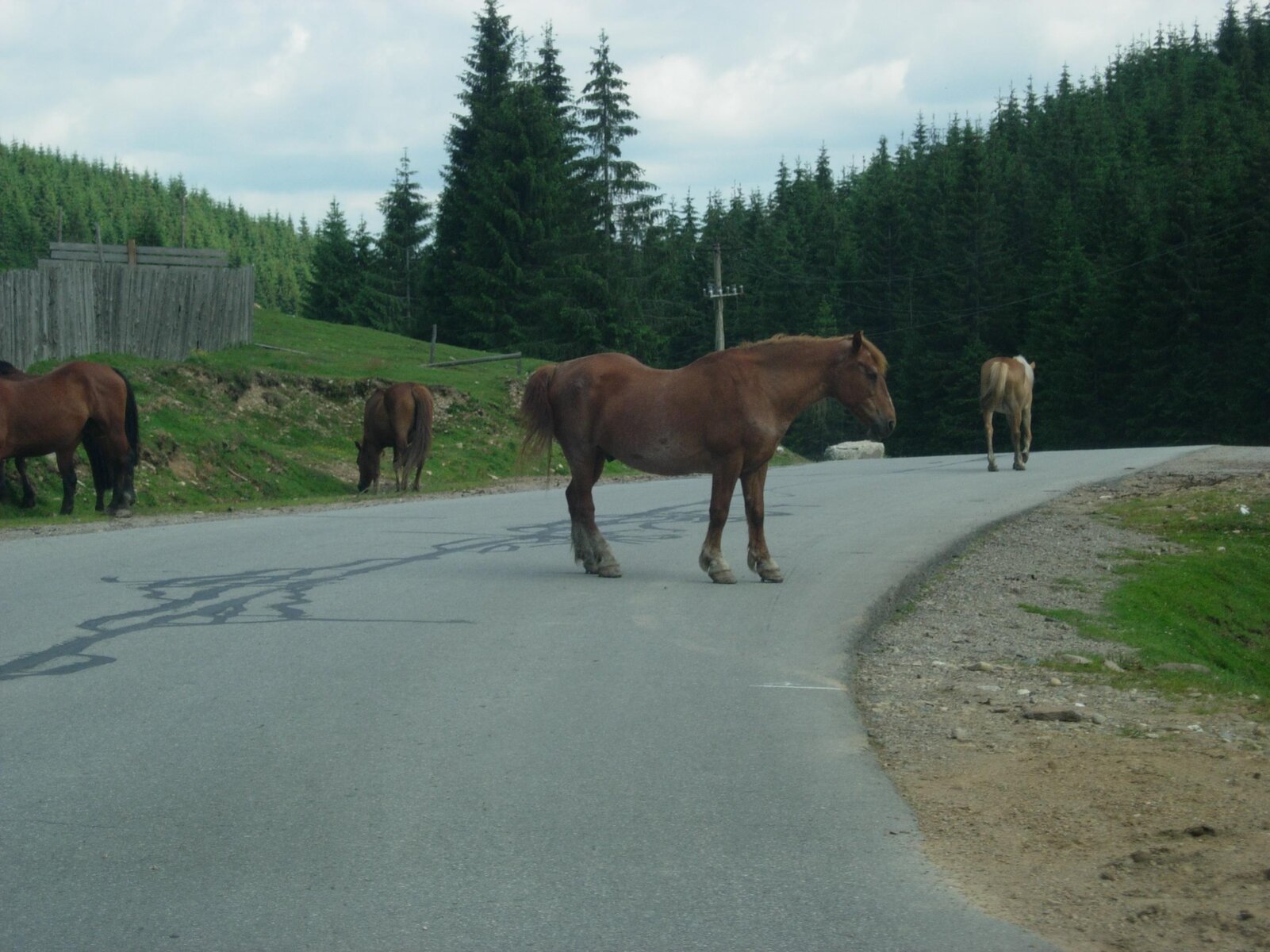 DSCN1543.jpg