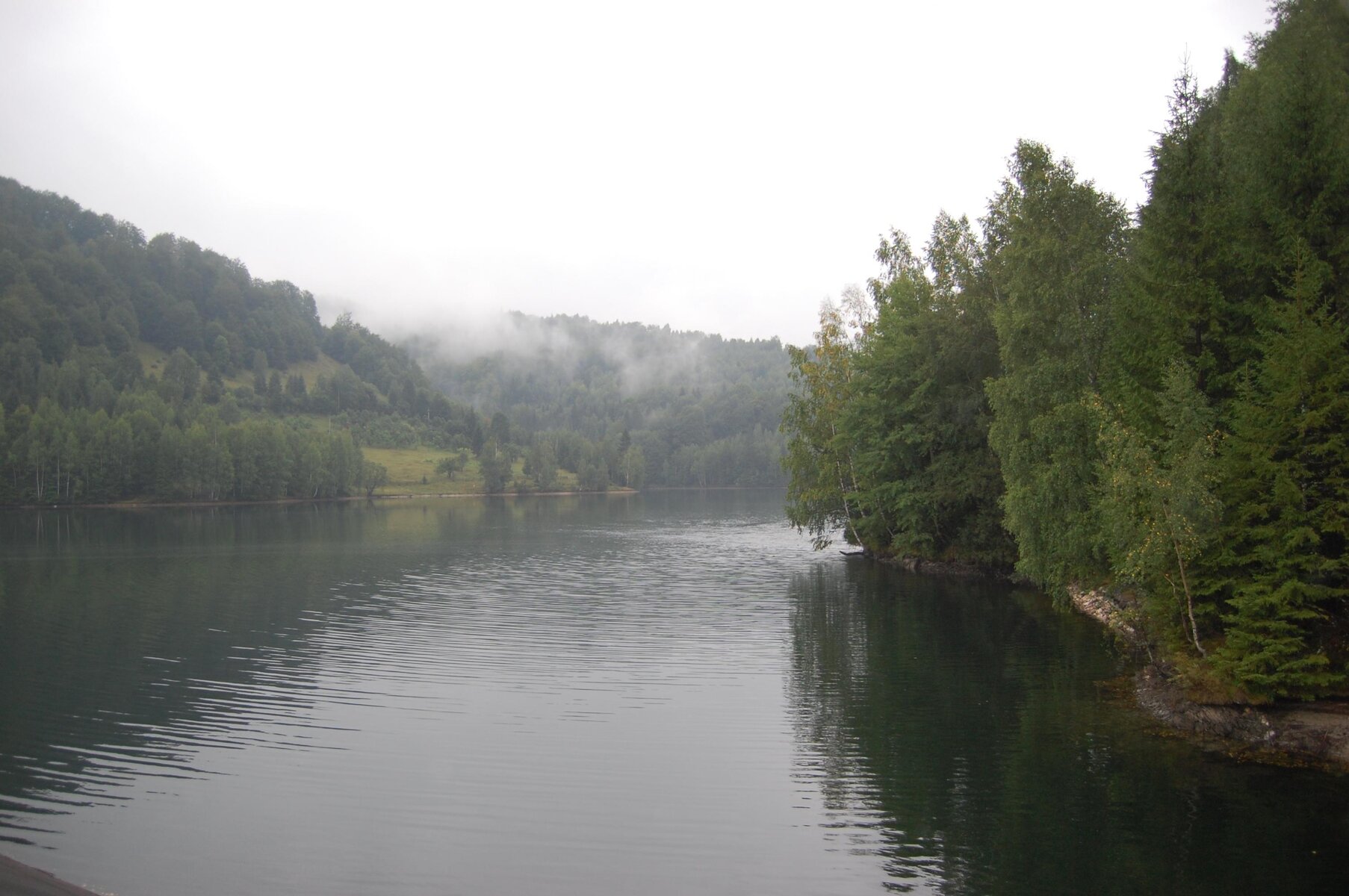 DSC_0074.jpg