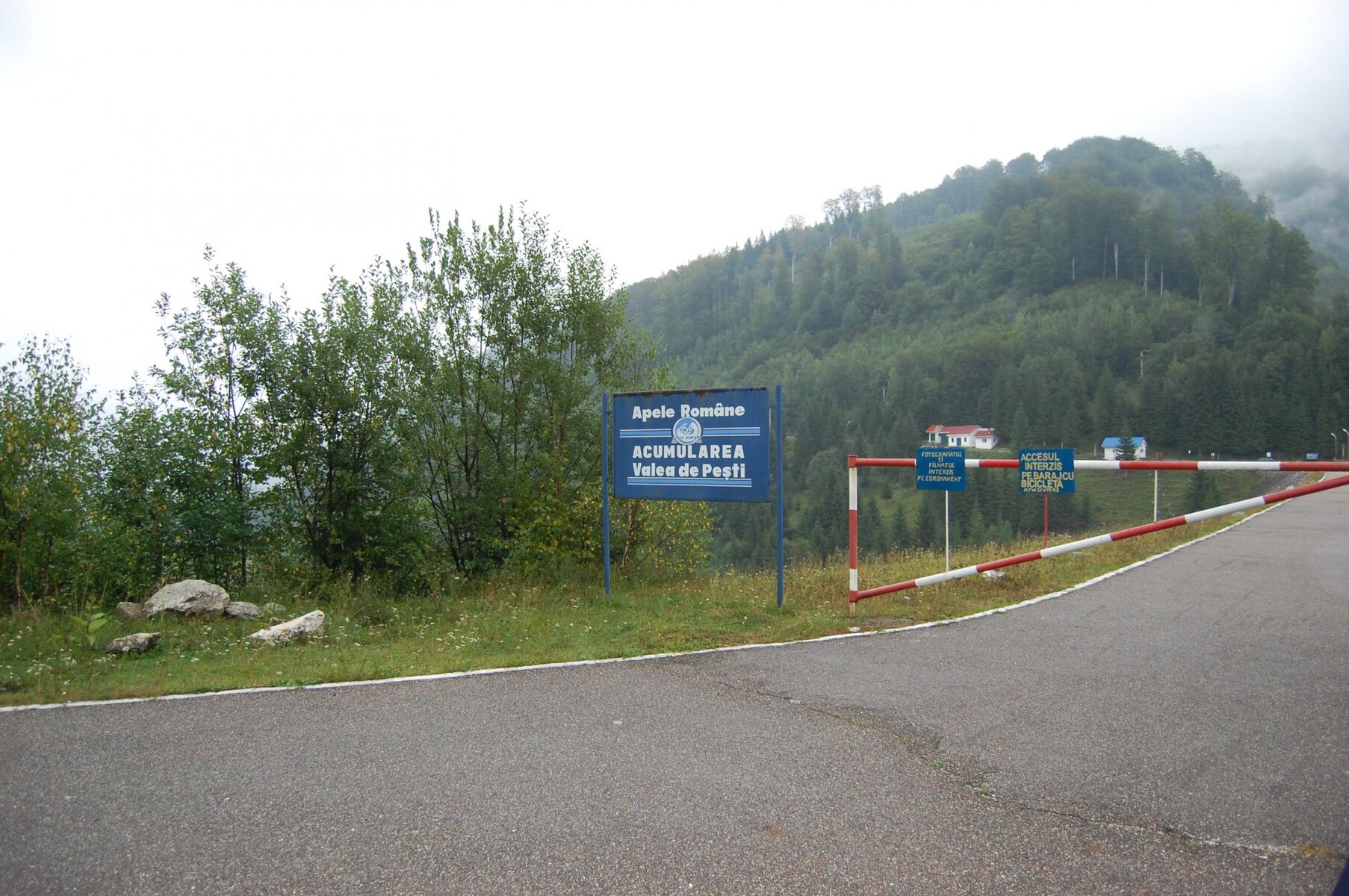 DSC_0075.jpg