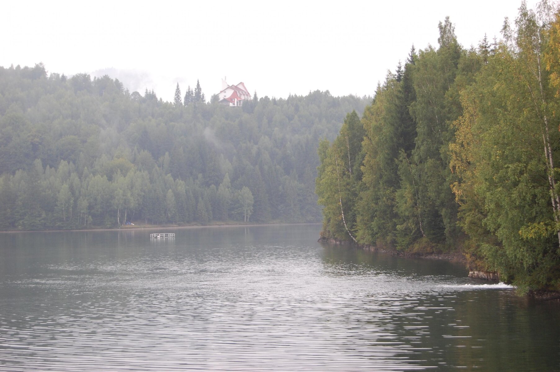 DSC_0078.jpg