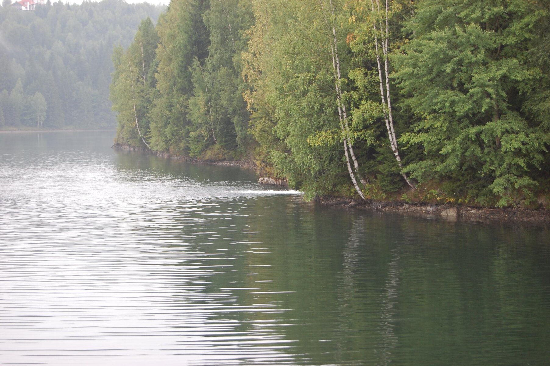 DSC_0079.jpg