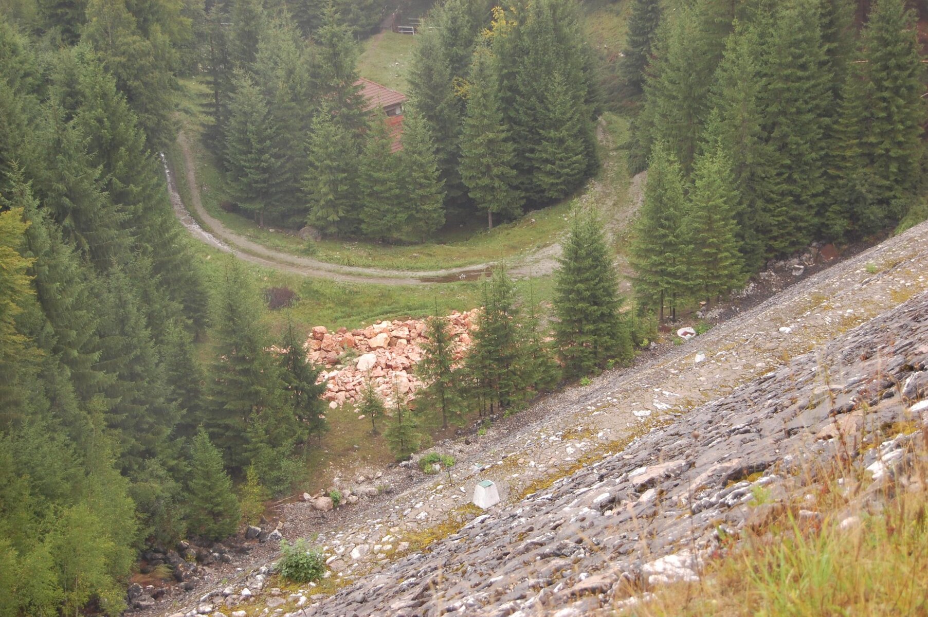 DSC_0083.jpg