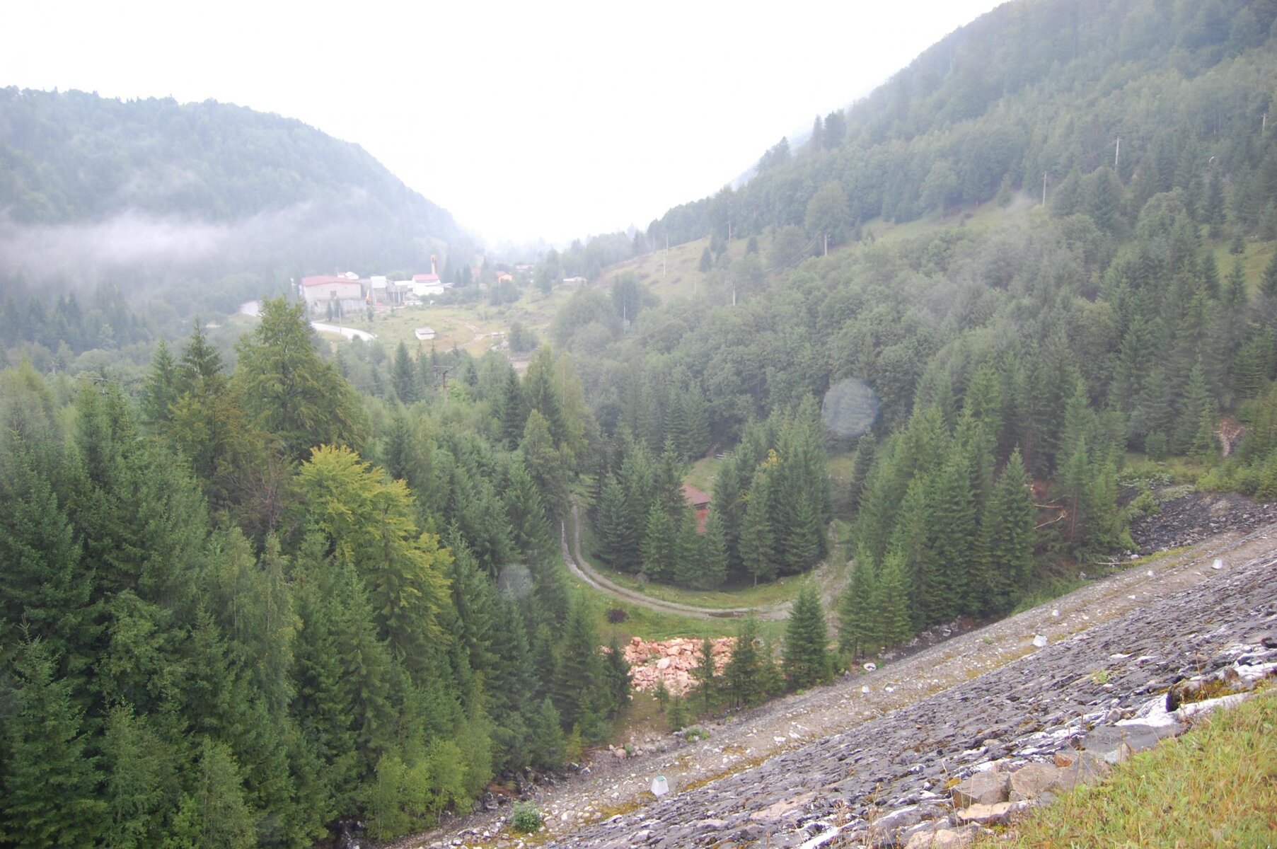 DSC_0092.jpg