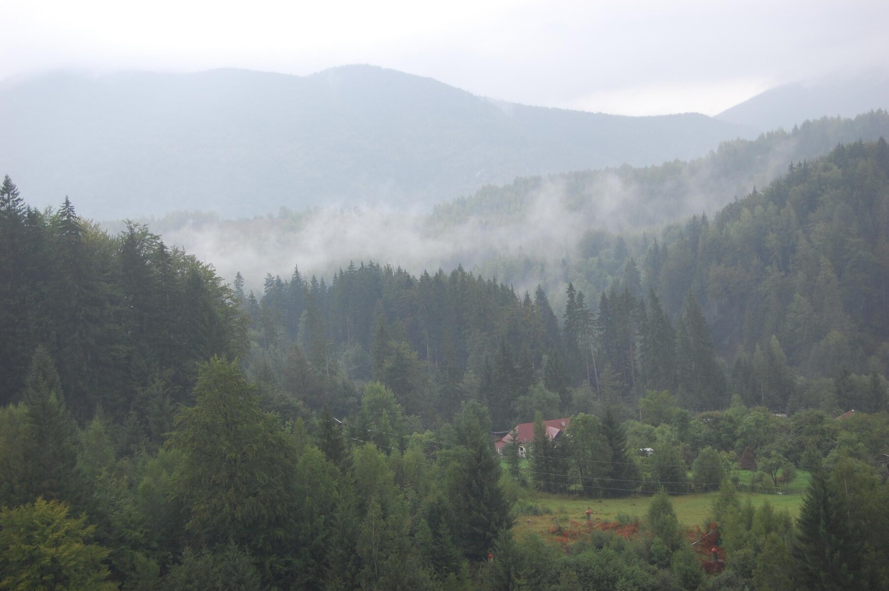 DSC_0105.jpg