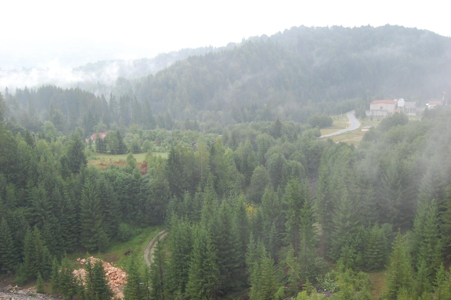 DSC_0114.jpg