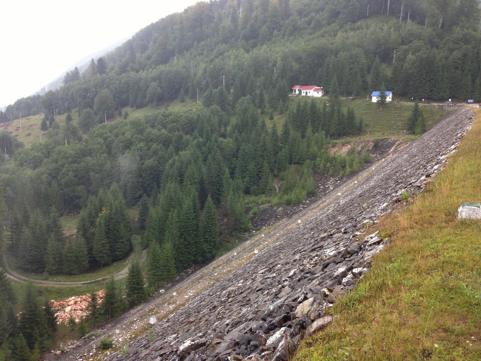 IMG_1205.jpg