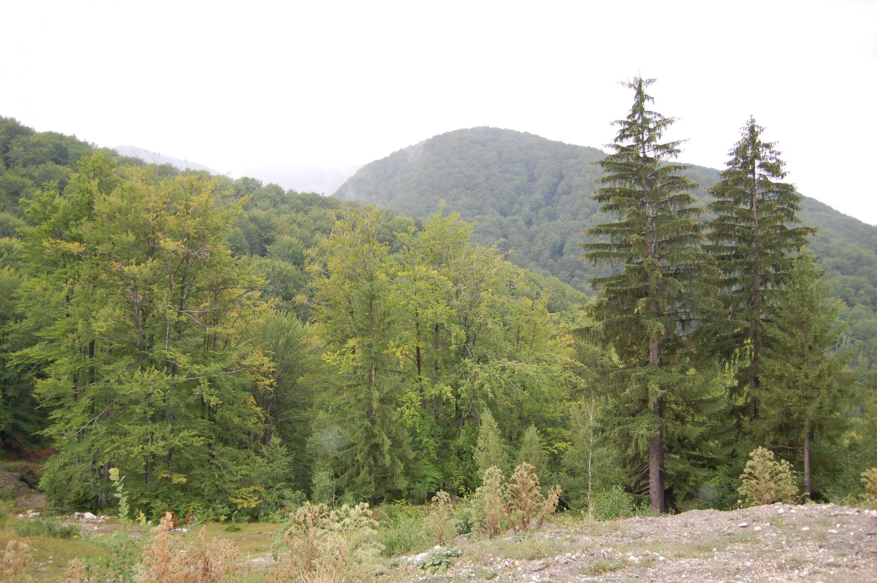 DSC_0122.jpg
