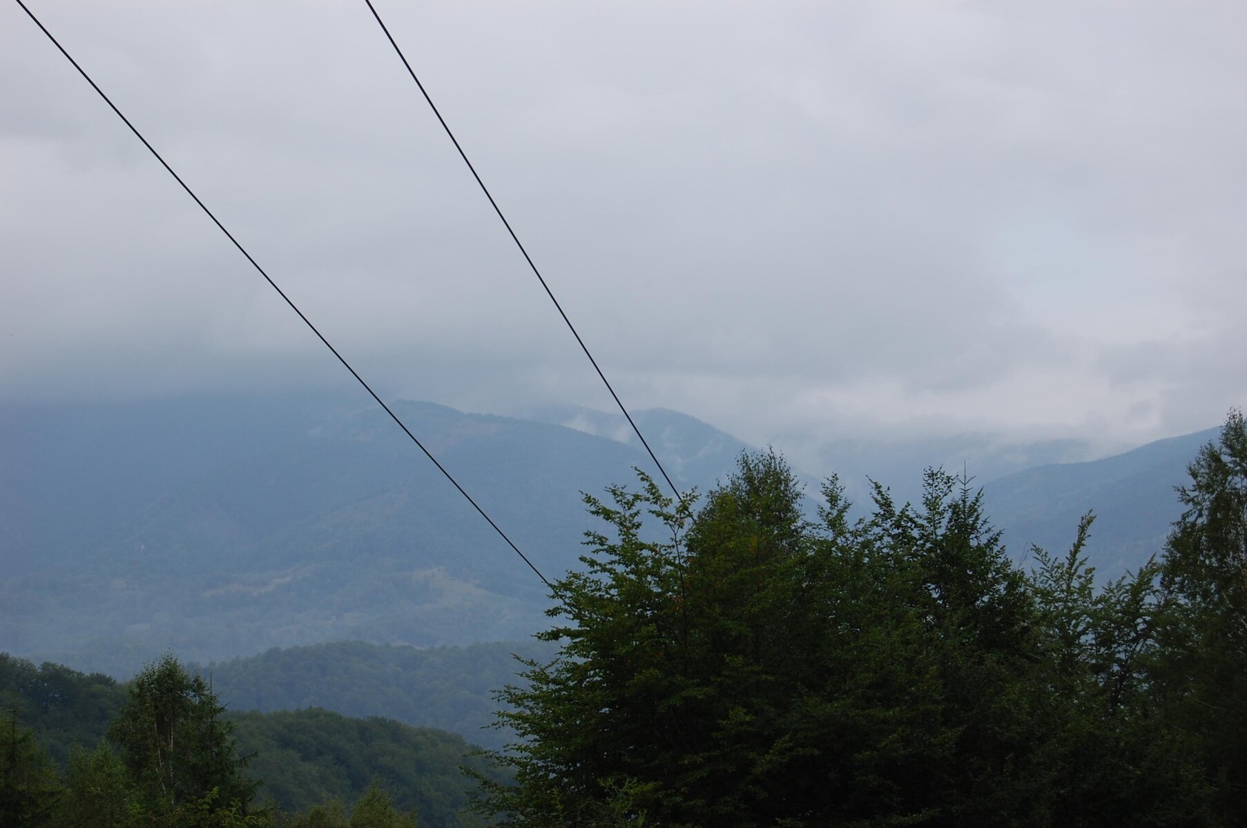 DSC_0124.jpg