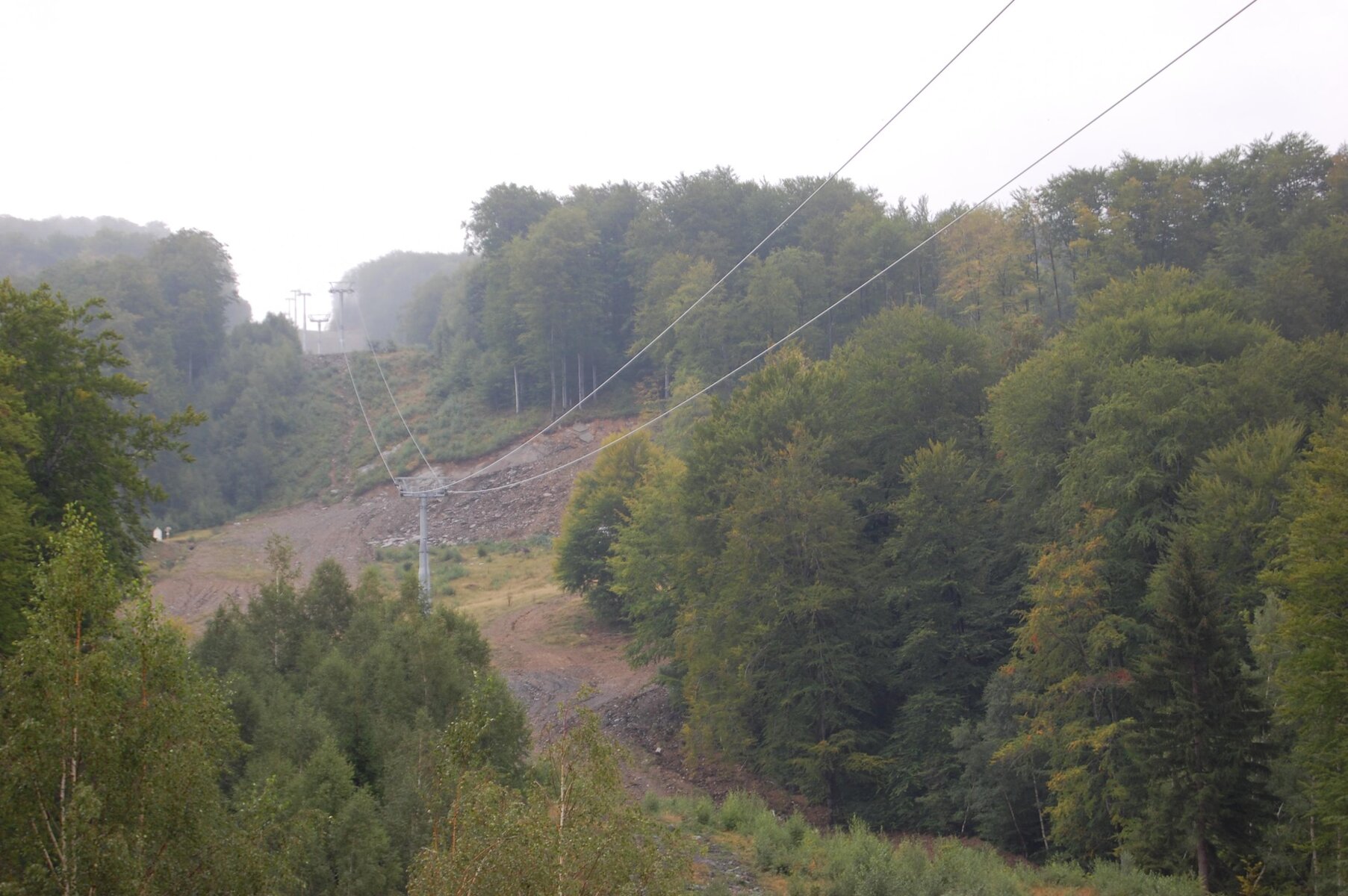 DSC_0125.jpg