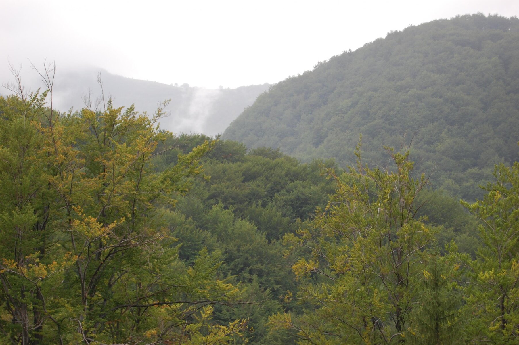 DSC_0128.jpg