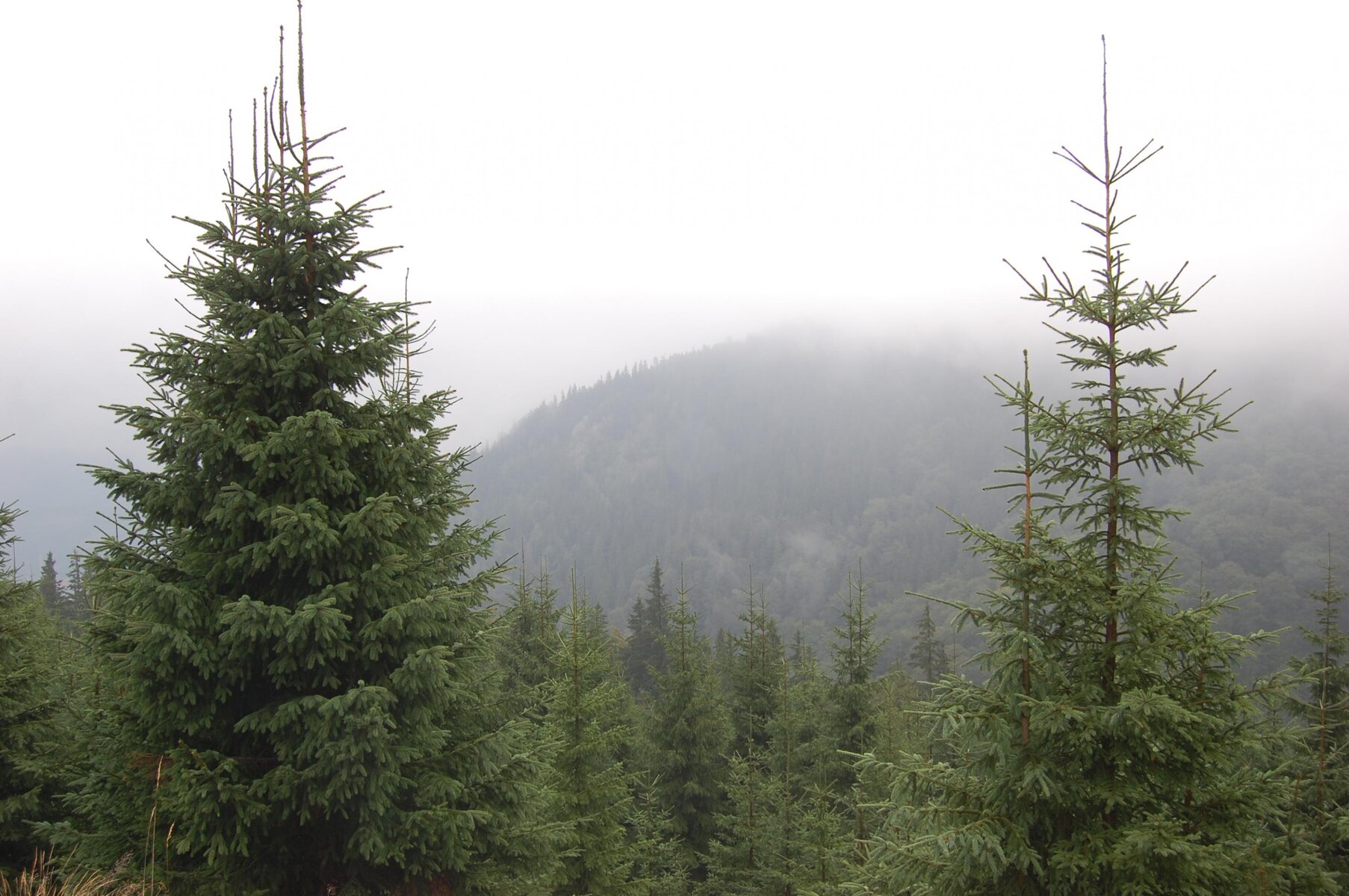 DSC_0139.jpg