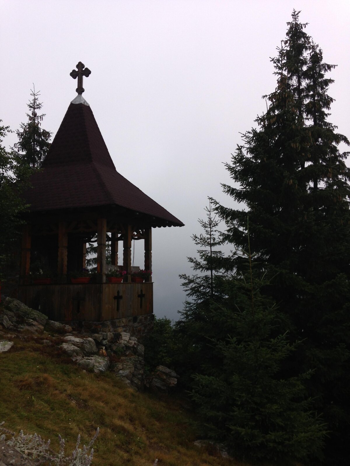 IMG_1231.jpg