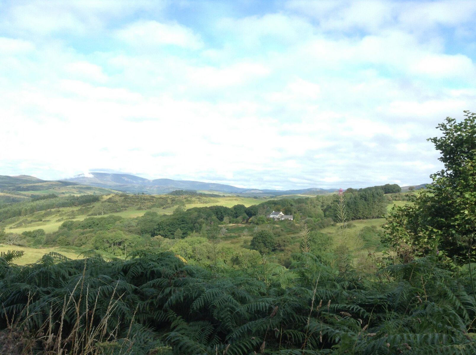 2013-08-28 10.13.52.jpg