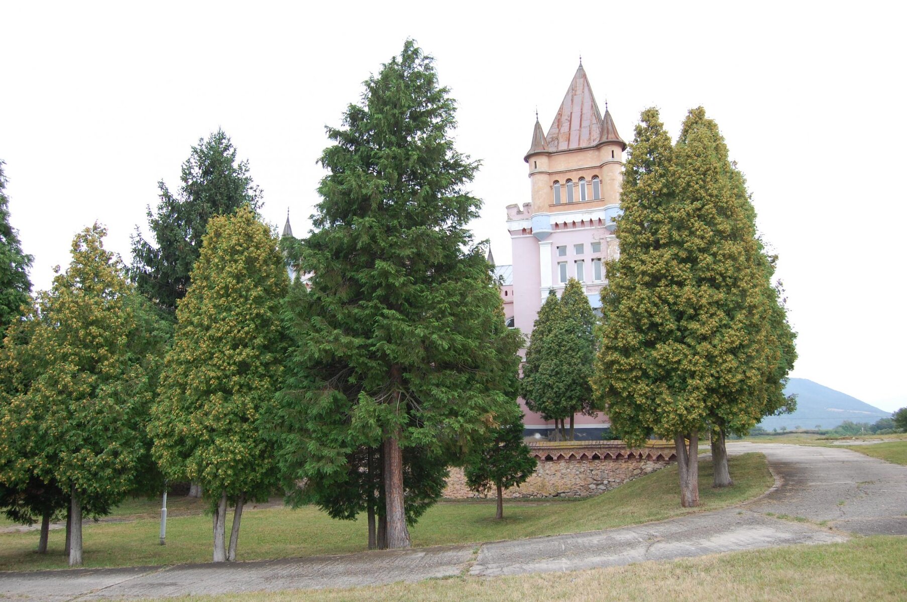 DSC_0172.jpg