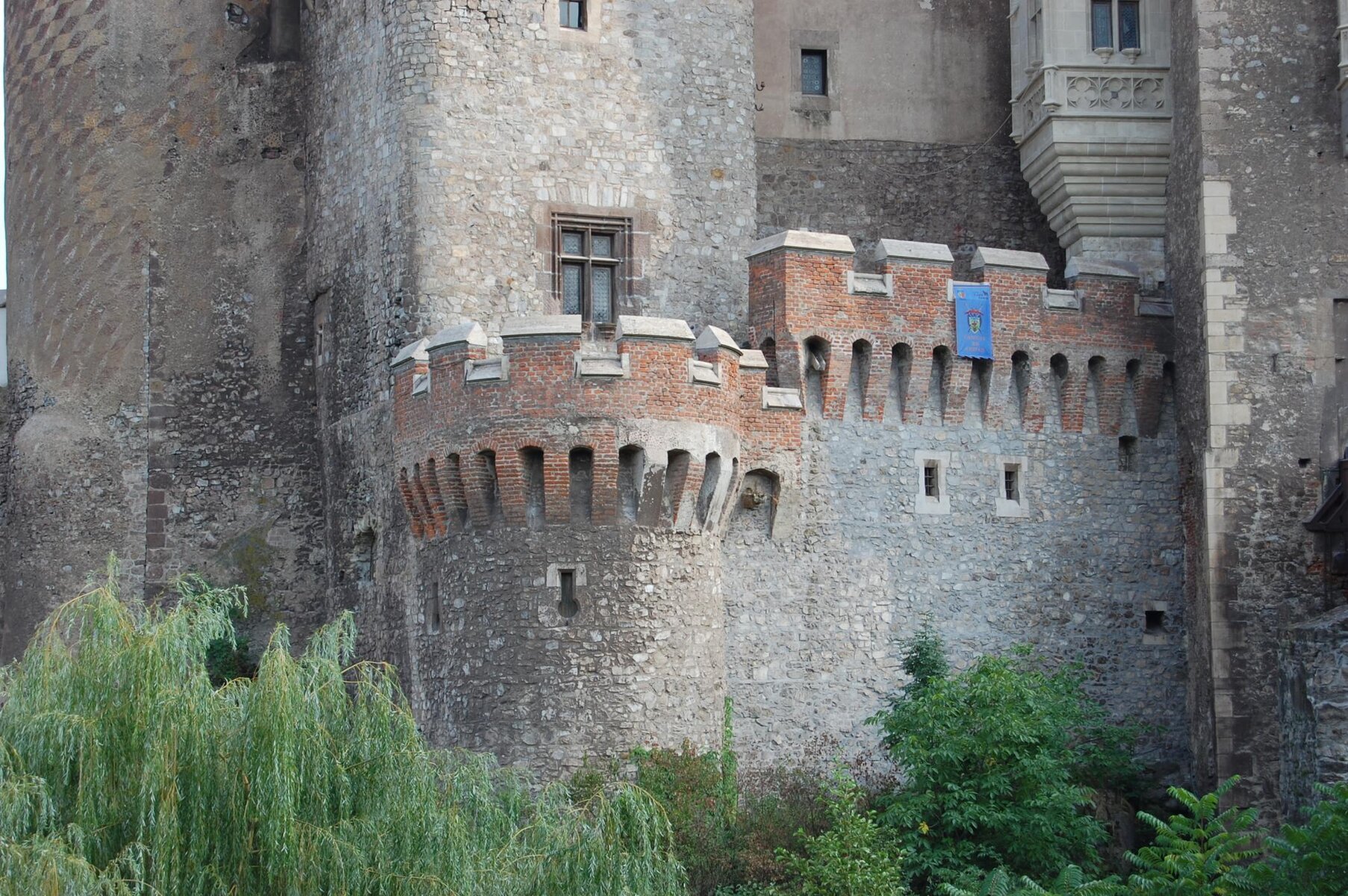 DSC_0226.jpg