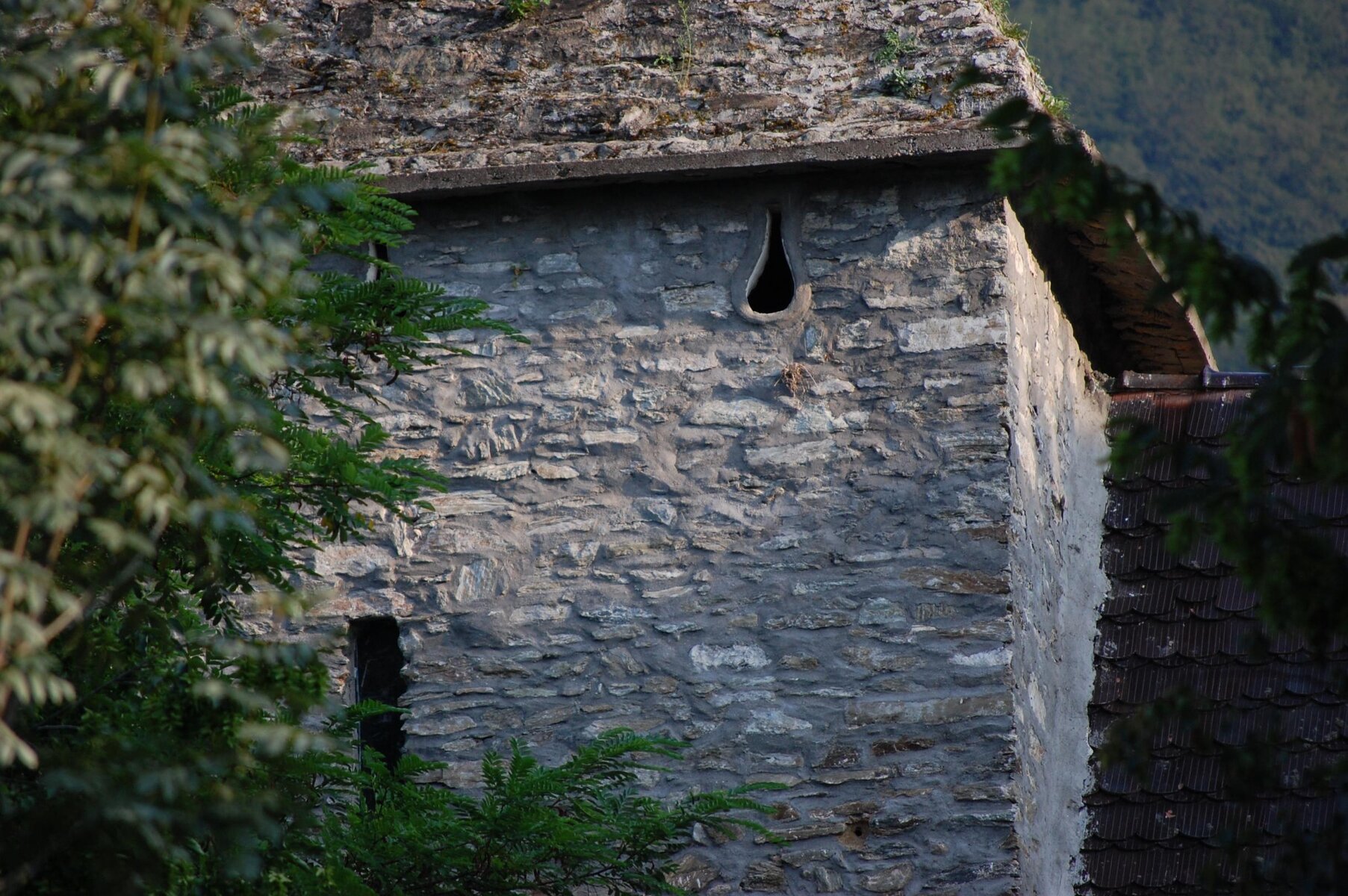 DSC_0284.jpg