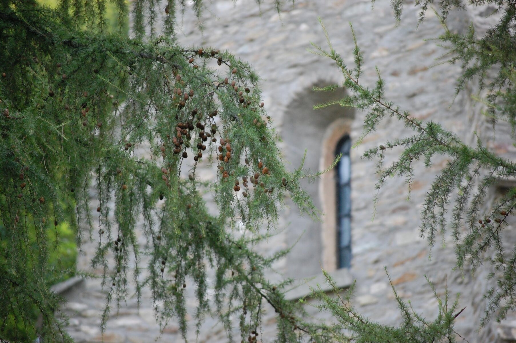 DSC_0303.jpg