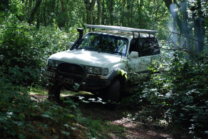 DSC_7226.JPG