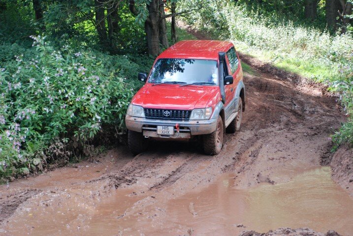 DSC_7446.JPG