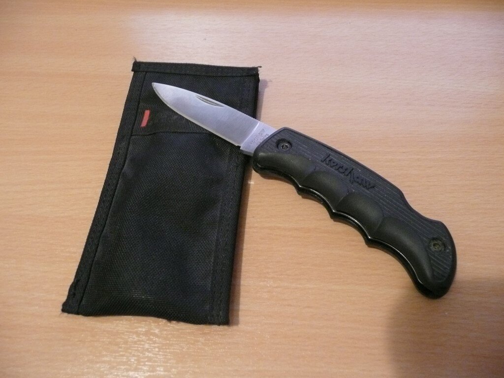 Kershaw1 (Medium).JPG