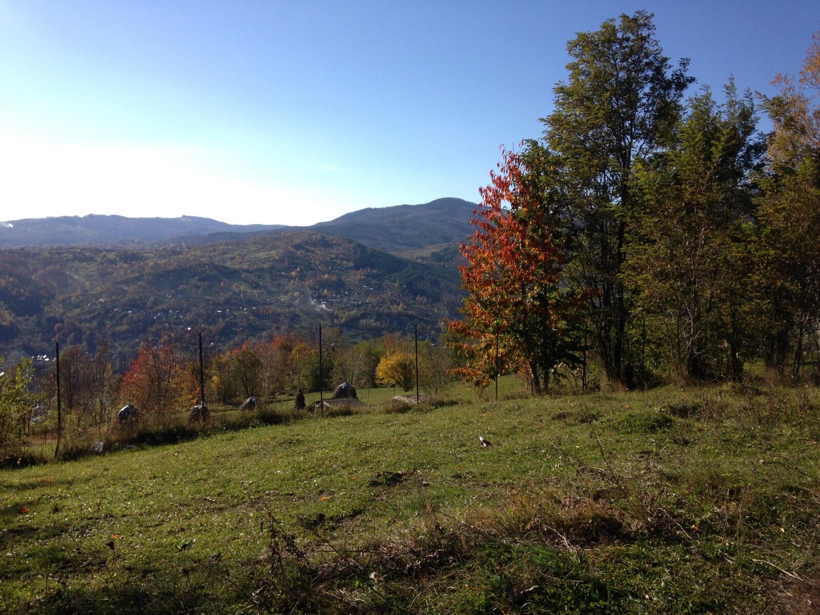 IMG_1621.jpg