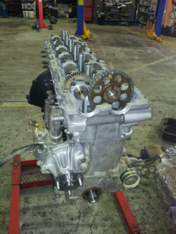 Toyota Timing Belt Or Chain ~ Best Toyota