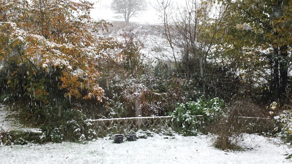 winter is back.jpg
