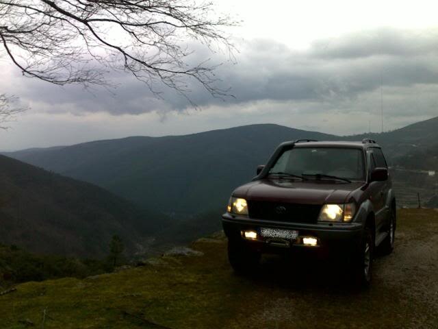 08032011031-1.jpg