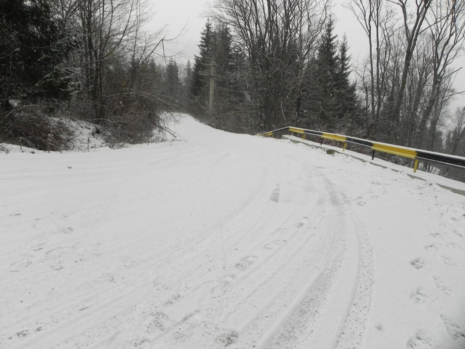 DSCN2688.jpg