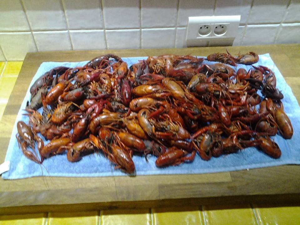 yum yum.jpg