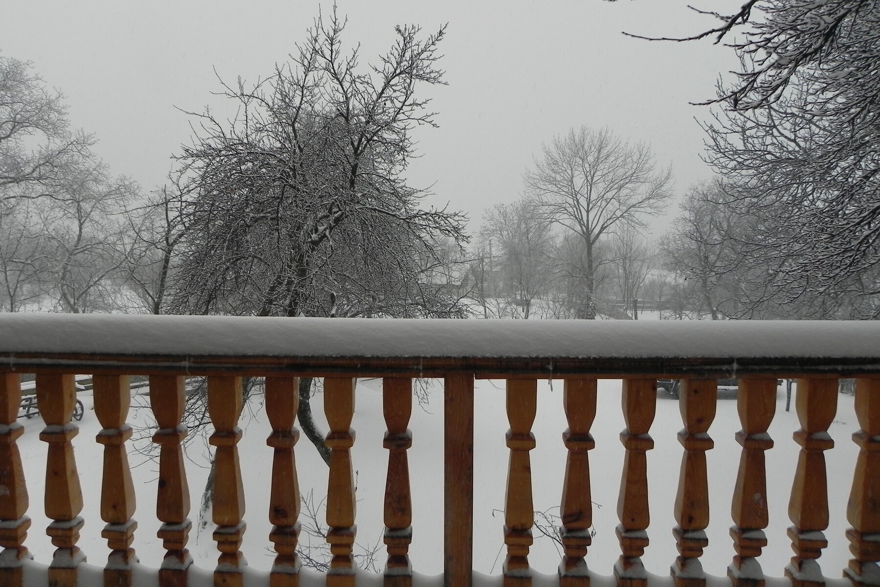 DSCN3296.JPG