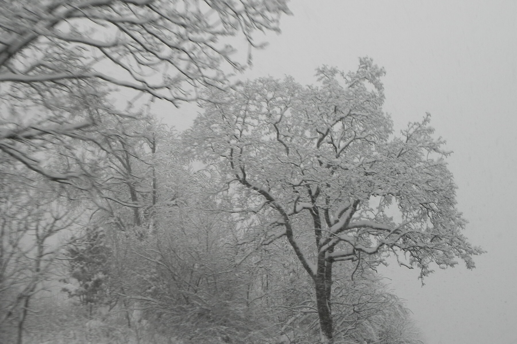 DSCN3359.JPG